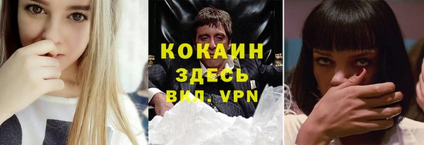 стафф Алексин