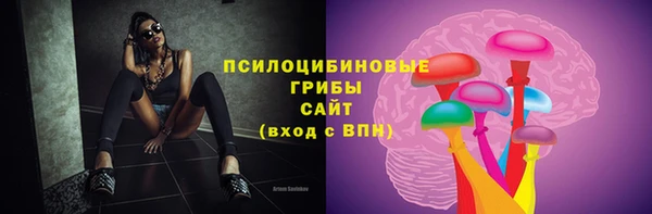 стафф Алексин