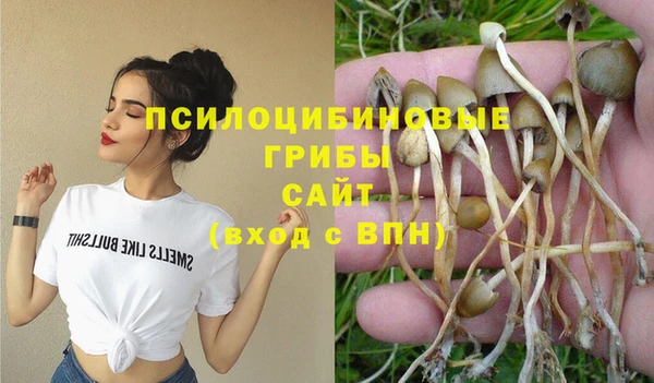бутират Алексеевка