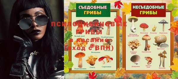 стаф Аркадак