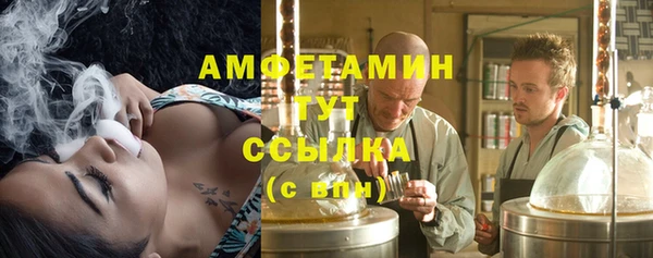 стаф Аркадак